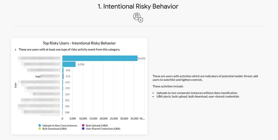 Intentional Risky Behavior