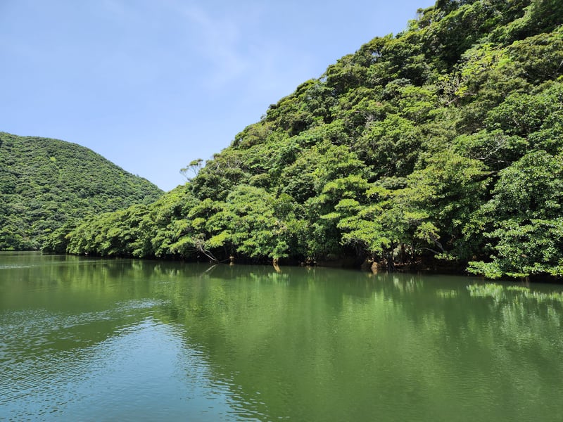 浦内川ジャングルクルーズ