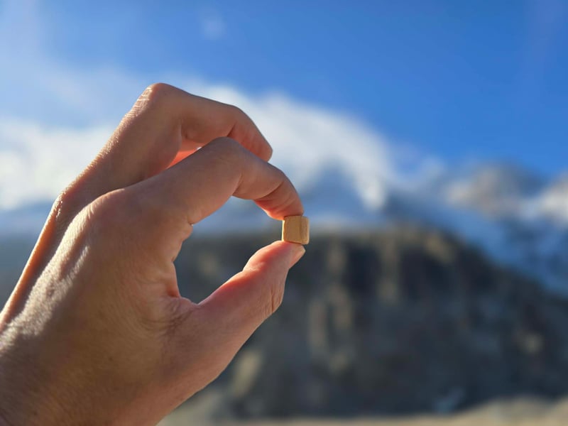 8691655a-deee-45da-ba96-9139b175d18e