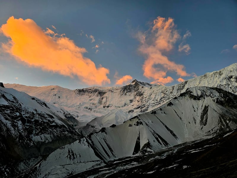 8e5c7e10-0539-4d6e-a1d9-0ce801489bbf