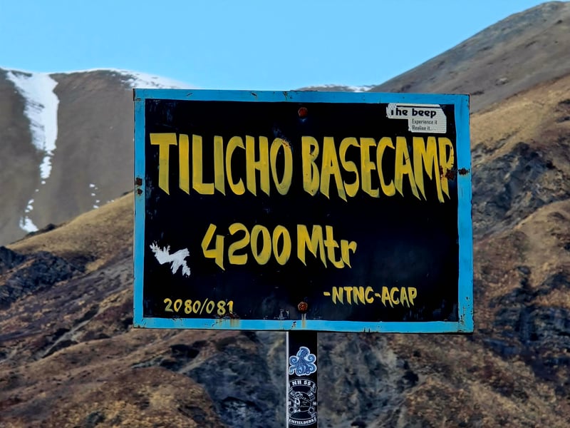 9495b0e6-d68b-47a6-a5d0-75628a0d46d2