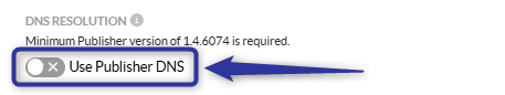Use Publisher DNS_02