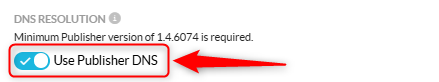 Use Publisher DNS_06