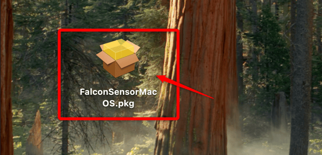 デスクトップ上のFalconSensorMacOS.pkg 