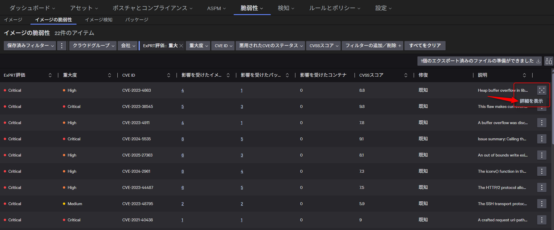 crowdstrike_ecr-image-assessment-and-vulnerability-check-cloudsecurity_07