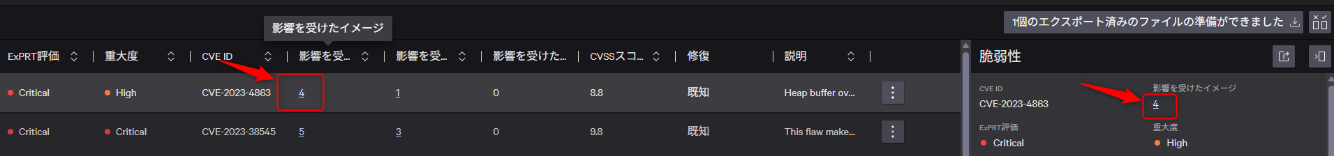 crowdstrike_ecr-image-assessment-and-vulnerability-check-cloudsecurity_09