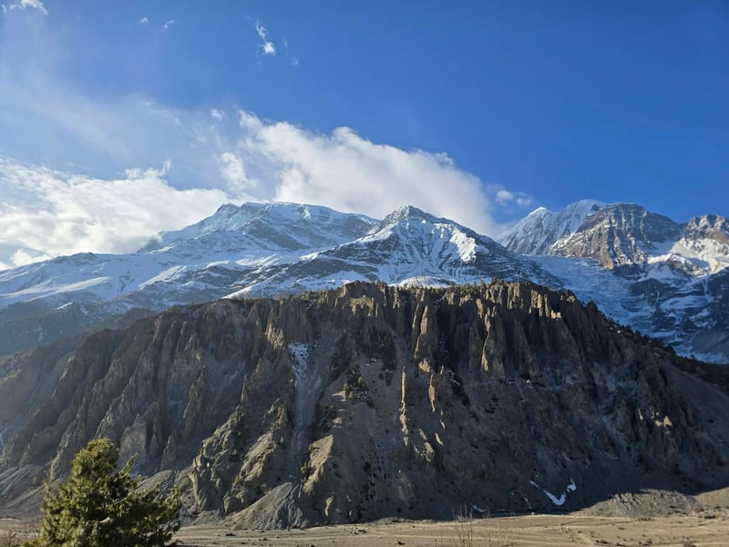 fb20ed7d-1c14-4bc7-b45a-7ab8a40510a0