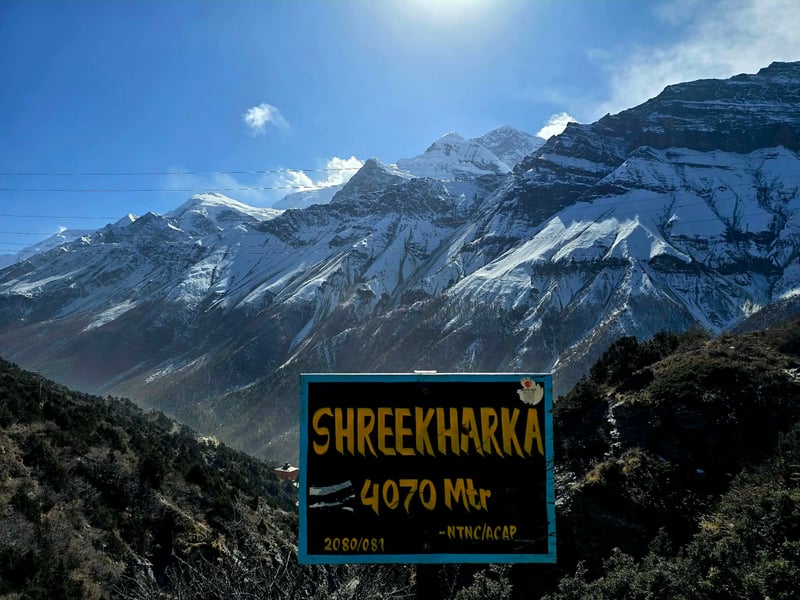 fc9389bd-2983-4abe-8039-326a92a50526