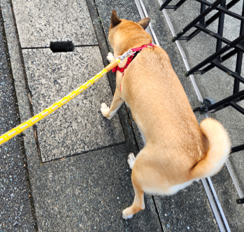 フルリモートの良い所①