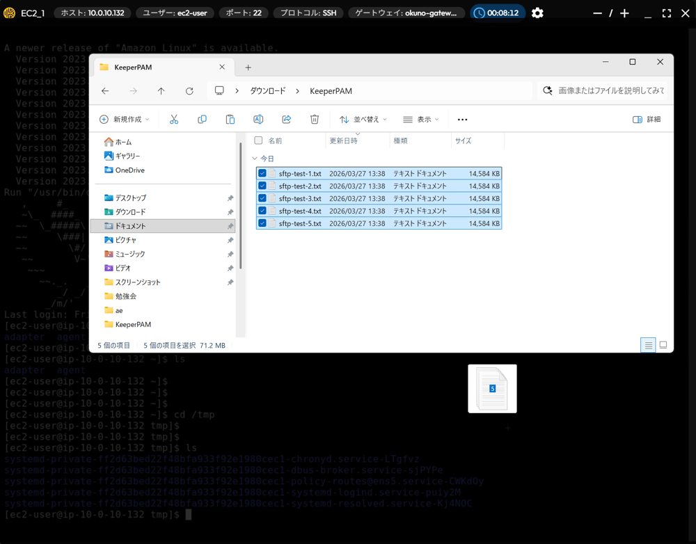 keeperpam-copypaste-linux-03