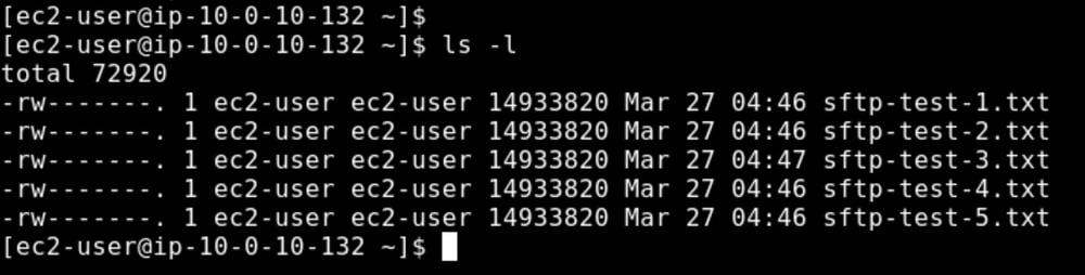 keeperpam-copypaste-linux-05