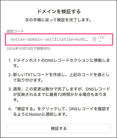 notion-varify-a-domain 2